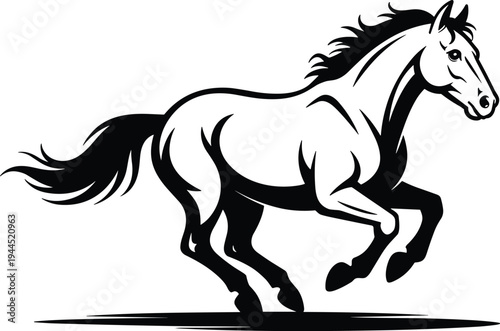 Black and white of a running horse animal equine