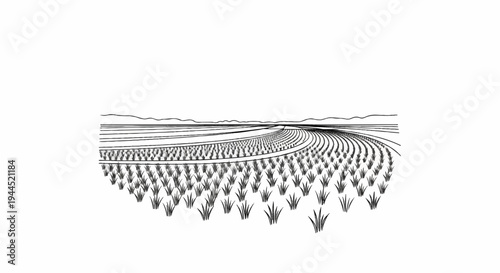 Stylized landscape illustration of a vast, curved agricultural field with distant mountains