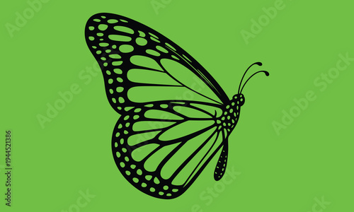 Black butterfly silhouette on green background insect