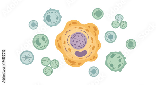 Stylized Cells Illustration: Microscopic Biology, Medical Research & Health Concept. Diverse Cellular Structures for Scientific & Educational Content