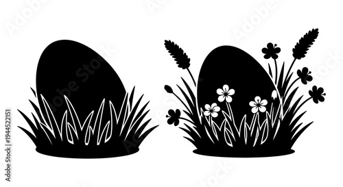 Transformation of barren land into a blooming meadow with wildflowers and grasses Vector, illustration