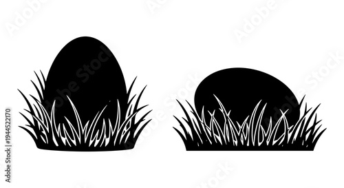 Two eggs nestled in contrasting grassy environments Vector, illustration