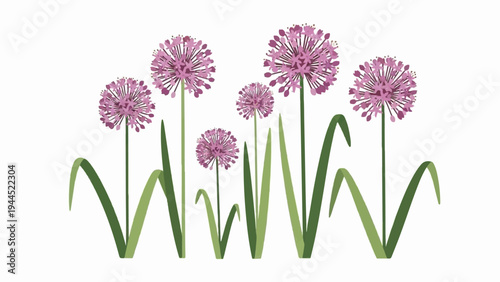 Abstract digital illustration of purple allium flowers with green stems and leaves