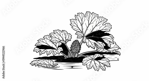 Stylized plant with large, lobed leaves and a central spike, depicted in black and white