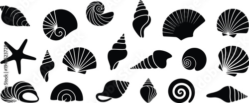 Collection of seashell silhouettes featuring spiral, conch, scallop, mollusk shells, and starfish designs arranged in grid format for marine, ocean, and decorative themes.