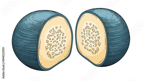 Vintage engraved style illustration of a blue guava fruit cut in half revealing its interior seeds and texture on white background.