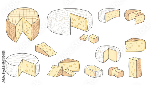 Large set of various cheese types including whole wheels wedges and slices for culinary and food industry design concepts.