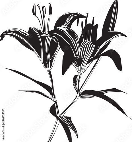 Stargazer Lily Side Bloom - Curved Petal Floral Silhouette (Lilium)