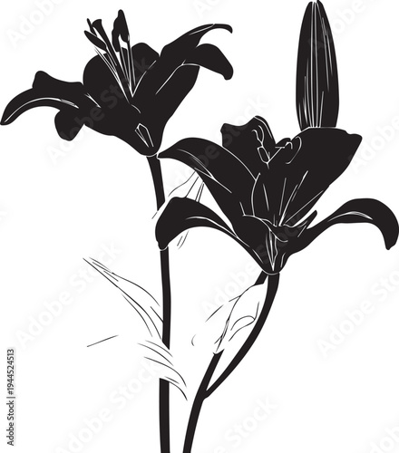 Graceful Lily Bloom Silhouette - Elegant Floral Outline (Lilium)