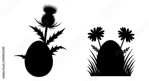 Contrast between a thistle and a stylized sunflower pair on a plain background Vector, illustration