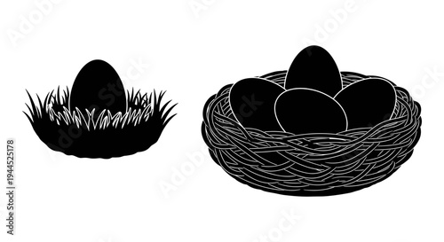 A comparison of single and multiple eggs in different nests on grass and woven material Vector, illustration