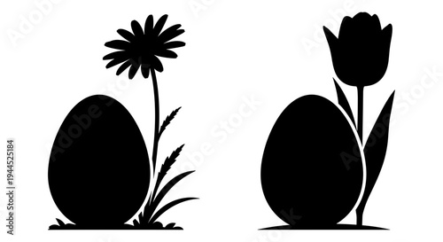 Contrast of a daisy and a tulip growing from eggs symbolizing life and growth Vector, illustration