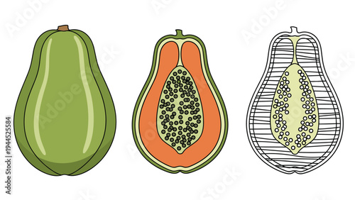 Set of papaya fruit illustrations features a whole green fruit, a sliced half showing black seeds, and a monochrome line drawing.