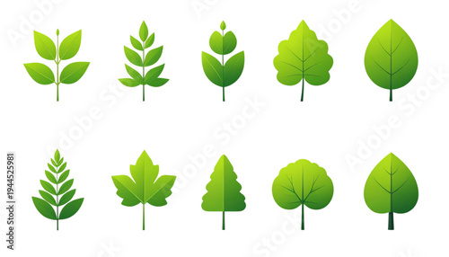 A diverse collection of various types of trees and plants in different shapes and sizes isolated on transparent background