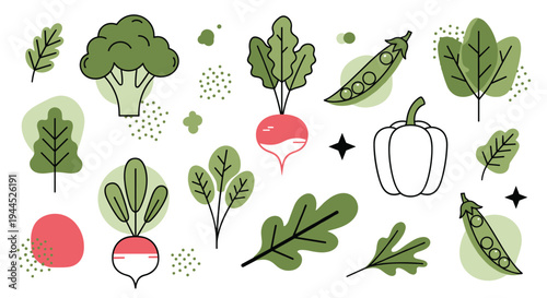Diverse collection of fresh vegetables including broccoli, radish, peas, and leafy greens in a clean vector illustration style.