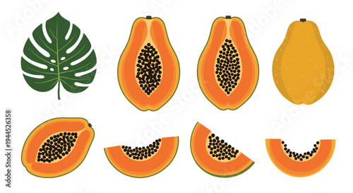 Detailed set of papaya fruit illustrations featuring whole, halved, and sliced pieces along with a large tropical monstera leaf.