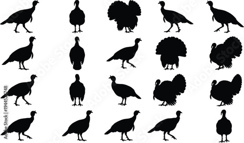 Turkey bird silhouettes collection, wild and farm turkey poses set, black poultry animal icons isolated for hunting, farm, and design