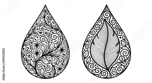 Intricate symmetrical leaf designs with elaborate filigree patterns on both sides Vector, illustration