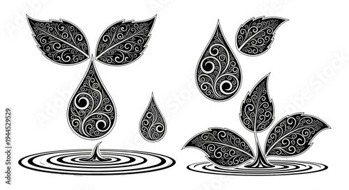 Intricate water droplets and leaves forming symmetrical patterns on a reflective surface. Vector, illustration
