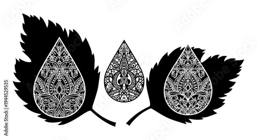 Intricate leaf patterns with detailed filigree designs on black background Vector, illustration
