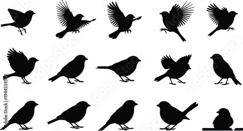 Black and white vector silhouettes of diverse people sitting on folding chairs from back view for audience meeting seminar event.