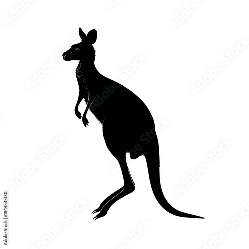 Black silhouette of a kangaroo standing on a white background, representing Australian wildlife.