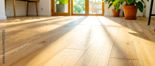 Warm sunlight streams across a modern wood plank floor, creating long shadows and highlighting the texture