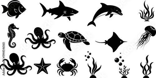 black silhouettes of various sea creatures and plants on white background