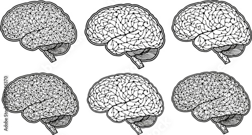 six different human brain illustrations in various line styles and patterns