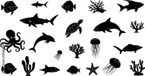 Black silhouettes of various sea creatures and coral on white background