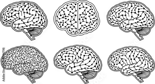 Six different human brain illustrations with various neural network patterns