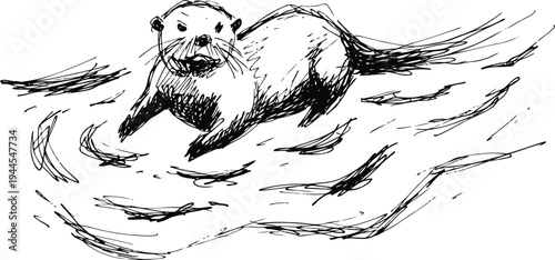 Otter swimming in water, hand drawn ink sketch of playful river animal in natural habitat