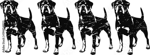 Black and white repeated silhouette of a standing dog with tail up and mouth closed