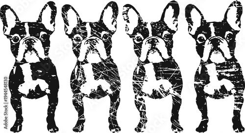 four black and white french bulldog illustrations in a row, vintage distressed texture