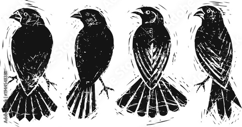 Black bird silhouettes in vintage woodcut style, artistic design with textured details and feather patterns
