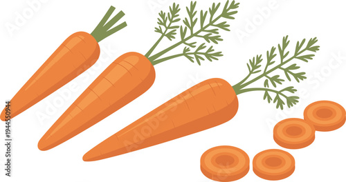 Fresh organic carrots with slices, healthy root vegetable ingredient, farm harvest nutrition food illustration isolated on background