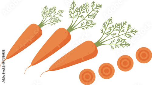 Fresh carrot vegetables with slices, organic healthy food ingredient, farm harvest root vegetable nutrition illustration isolated