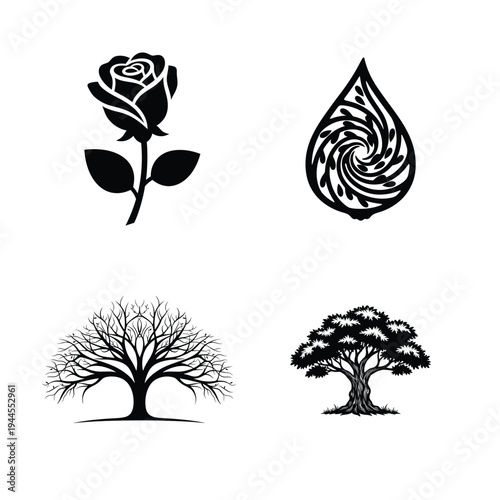 Flower and tree rose water drop bare tree leafy tree