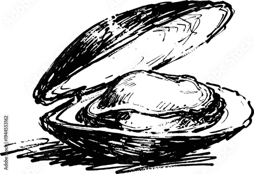 Open oyster shell with pearl inside hand drawn seafood sketch illustration marine delicacy and natural treasure concept