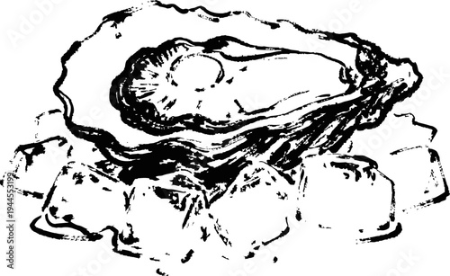 Single oyster on half shell served on ice cubes, seafood and marine delicacy concept