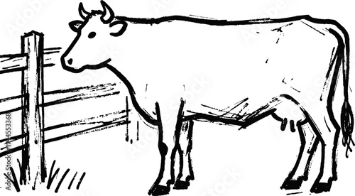 black and white outline drawing of a cow standing near wooden fence on grass