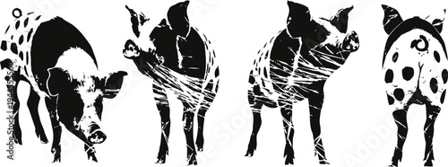 cow silhouette set showing different angles of a spotted dairy cow in black and white