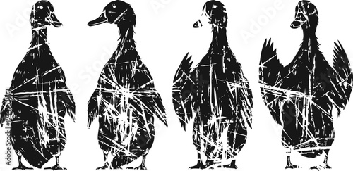 Four black grunge duck silhouettes with textured scratches and distressed effect