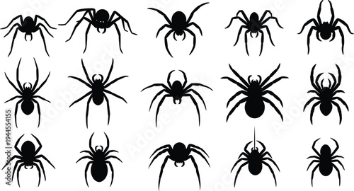 Spider silhouettes collection, different arachnid spider shapes set, creepy crawling insect icons vector illustration isolated on white background