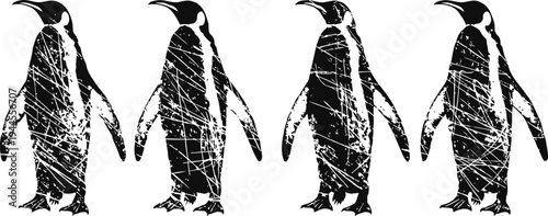 Four black and white penguin silhouettes with grunge texture on white background