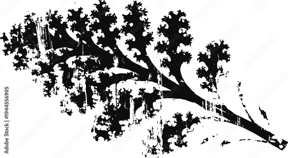 Obraz premium black silhouette of leafy branch with small rounded clusters and detailed leaves