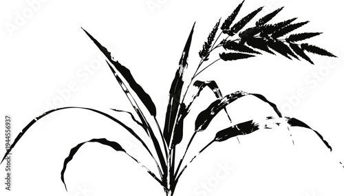Monochrome ink painting of rice plant with grains, traditional asian brush art