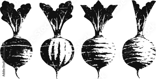 Black and white beetroot illustration set with leafy tops, natural vegetable sketch collection
