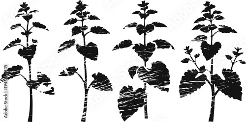 black silhouette of four sunflowers with leaves, stems and buds in a row