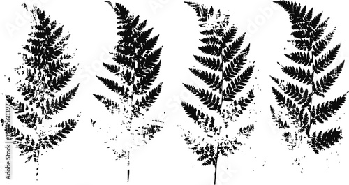 black fern leaves silhouettes set botanical elements isolated on white background nature floral shapes collection
